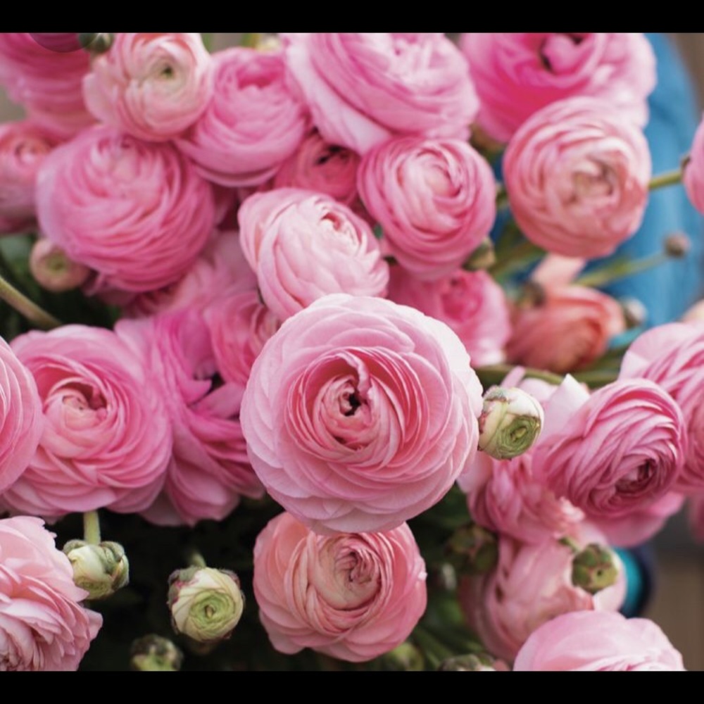 Meet your Posher, Virginie